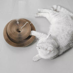 Kitty Kurlz Cat Toy Cat Accordion Magic Organ Cat Scratching Board Cat Toy Ball
